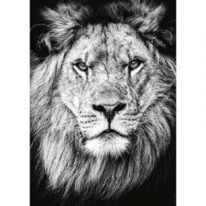 Nathan Puzzle 1000 pièces - Portrait royal - Adultes et enfants dès 14 ans - Puzzle de qualité supérieure - Encastrement parfait - Collection Vie Sauvage - 12000893