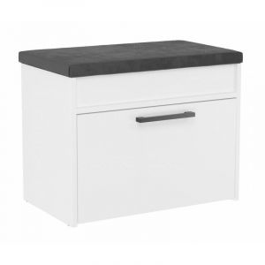 Parmi - Meuble à chaussures style scandinave entrée - 60x35x49 - Banc avec rangement Blanc mat