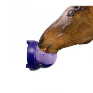 Likit Mangeoire cheval Tongue Twister