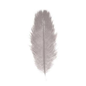Ruedelafete Sachet de 2 Plumes d'Autruche 30-35cm, Gris clair
