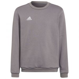 Adidas Sweat-shirt Entrada 22 Stadium Sw 152 cm Team Grey Four