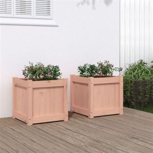 VidaXL Jardinières 2 pcs bois massif douglas