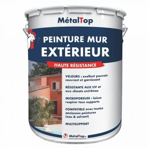 Peinture Mur Exterieur - Noir graphite - RAL 9011 - Pot 1L