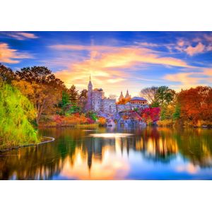 Bluebird Puzzle Puzzle Belvedere Castle, New York