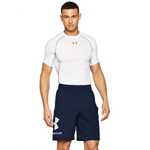 Under Armour Sportstyle Cotton Graphic Short Homme - Bleu - FR : M (Taille Fabricant : MD)