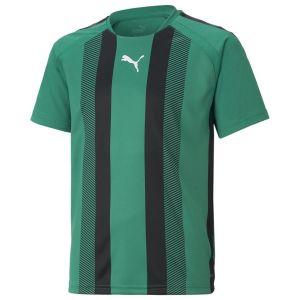 Image de Puma T-shirt à Manches Courtes Teamliga Striped 9-10 Years Pepper Green