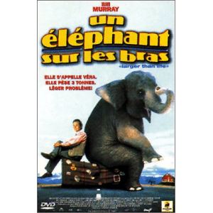 Un éléphant sur les bras