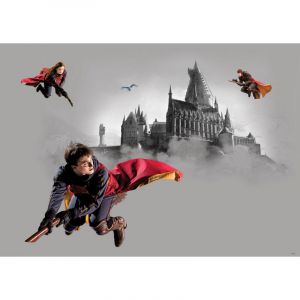 AG ART Poster intiss&eacute; - Harry Potter sur son balais - 155 x 110 cm