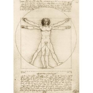 Bluebird Puzzle Leonard De Vinci - The Vitruvian Man, 1490