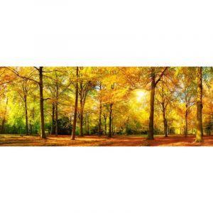 Hxadeco - Tableau Sous bois en automne - 80x30cm - made in France