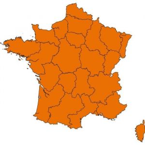 Sportdog Pack carte France  topographique IGN avec une échelle 1/25000ème pour chien