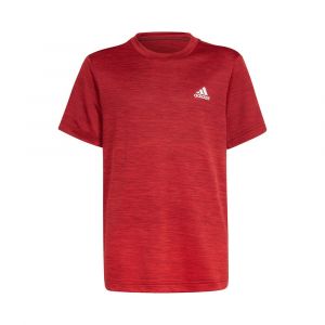 Adidas T-shirt Manche Courte A.r Grad 128 cm Shadow Red / Vivid Red / White