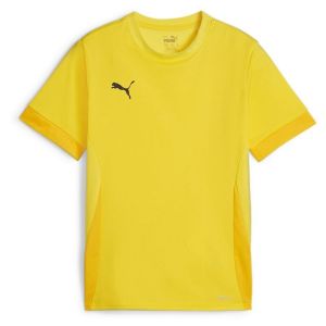Puma Maillot de Football Unisexe Teamgoal Matchday Jr