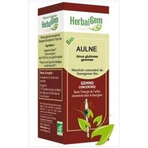 Herbalgem Aulne glutineux Bio - 50 ml