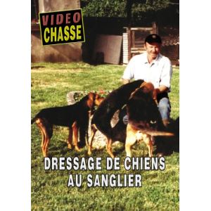 Image de Dressage de chiens au sanglier