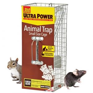 Defenders STV076 Piège pour animaux (cage sans cruauté pour écureuils et petits animaux sauvages, utilisation en intérieur et extérieur), transparent