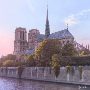 Ceanothe Reg Art 90X90 Nd Depuis Seine