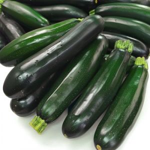 15 Graines De Courgette Black Beauty