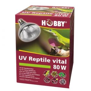Hobby Lampe UV Reptile vital