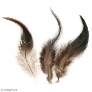 Rayher Plumes coq - 3g