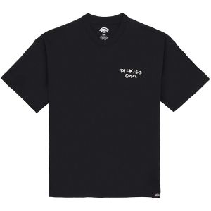 Dickies T-shirt sneedville ss homme noir