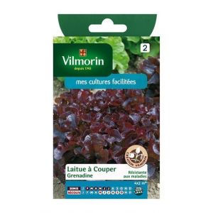 Vilmorin Laitue à couper grenadine - Sachet graines