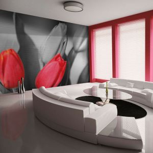 Artgeist Papier peint - Tulipes rouges sur fond noir et blanc 200x154
