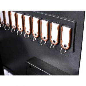 Pavo Armoire à clés avec Serrure électronique numérique,également Ouvert avec Un Lecteur d'empreintes digitales ou Une clé,Porte-clés magnétiques pour 20 clés,10 Porte-clés magnétiques Noirs Inclus