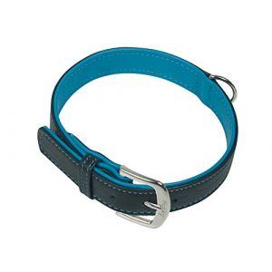Nobby Collier pour chien Pet Pacific