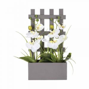 Image de Orchidées Panier Bois 41cm Taupe Prix