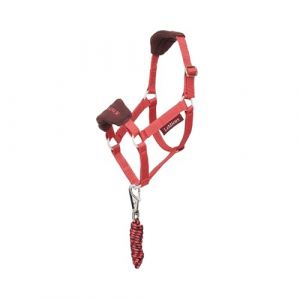 Lemieux Ensemble licol et longe pour Hobby Horse Vogue