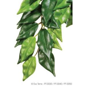 Image de Exo terra Plante Ficus 40 cm