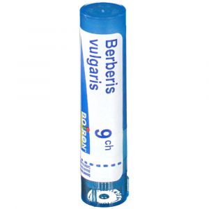 Image de Boiron Berberis vulgaris 9 ch - 80 Granules hom&eacute;opathiques