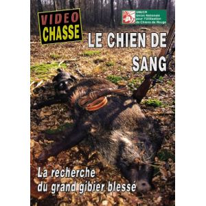 Vidéo Chasse : Le Chien de Sang