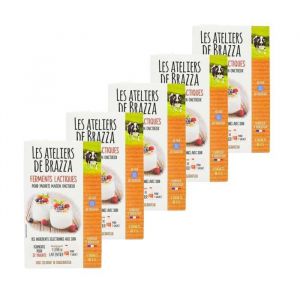 Les ateliers de Brazza - Lot 5x Ferments lactiques - 4 sachets de 2g - Boîte 8g