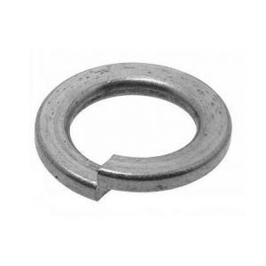 Acton Rondelle grower, A4. M16