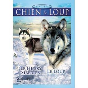 Entre chien & loup : Le Husky Sibérien & Le loup