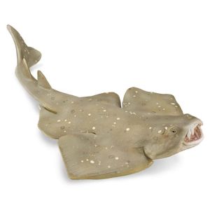 Image de Collecta Figurine Animal Marin (M): Requin-Ange