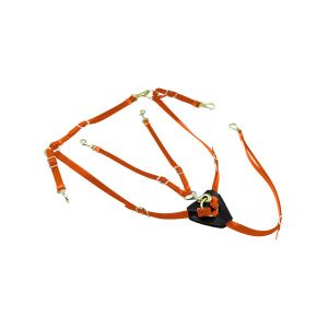 Collier de chasse pour cheval en biothane avec martingale Lakota