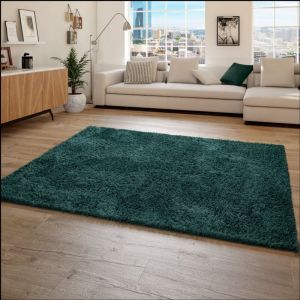 Paco Home Tapis Shaggy Tapis De Salon Poil Long Doux Moderne Motif Monochrome Vert 100x200 cm