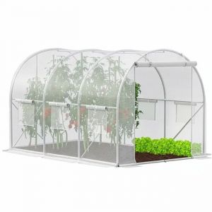 Springos Tunnel De Jardin &iquest; Serre Tunnel En Film Plastique Avec Fen&ecirc;tre De Toit 200 &times; 300 &times; 200 Cm