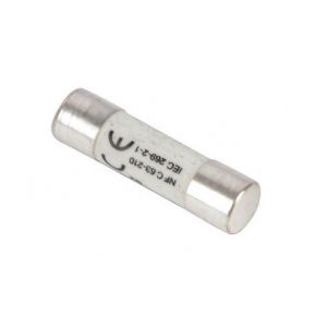 Expert by Net Accessoires Pour Chauffe-Eau - Fusible C&eacute;ramique 32a X 10 Pi&egrave;ces