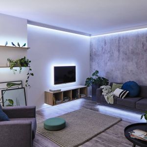 Paulmann LED 79875 MaxLED 250-2,5 m-Protection IP44-Avec 1 Bande Lumineuse de 10 W 6500 K, Plastique, argent&eacute;