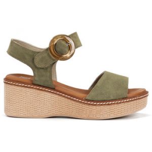 Dorking D9450-CA 37 Vert