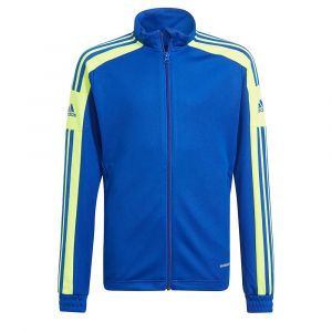 Adidas Veste de survêtement unisexe pour enfant Sq21 Tr Jkt Y 13-14 ans Team Royal Blue/Team Solar Yellow