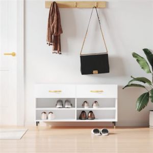 VidaXL Banc à Chaussures, Armoire à Chaussures avec 4 Étagères et Pieds, Meuble à Chaussures avec 2 Tiroirs Salon, Moderne, Blanc Brillant Bois d'Ingénierie