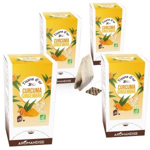 Aromandise Tisane bio au Curcuma et gingembre 72 sachets