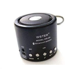 Image de WSTER WS-Q9 - Enceinte Bluetooth Radio MP3