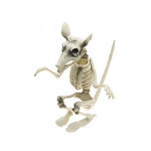 RAT SQUELETTE 20X26X29CM Neuf