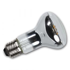 STAR TRADING Ampoule LED Illumination, R63, E27, 4 W 2.700 K dimmable